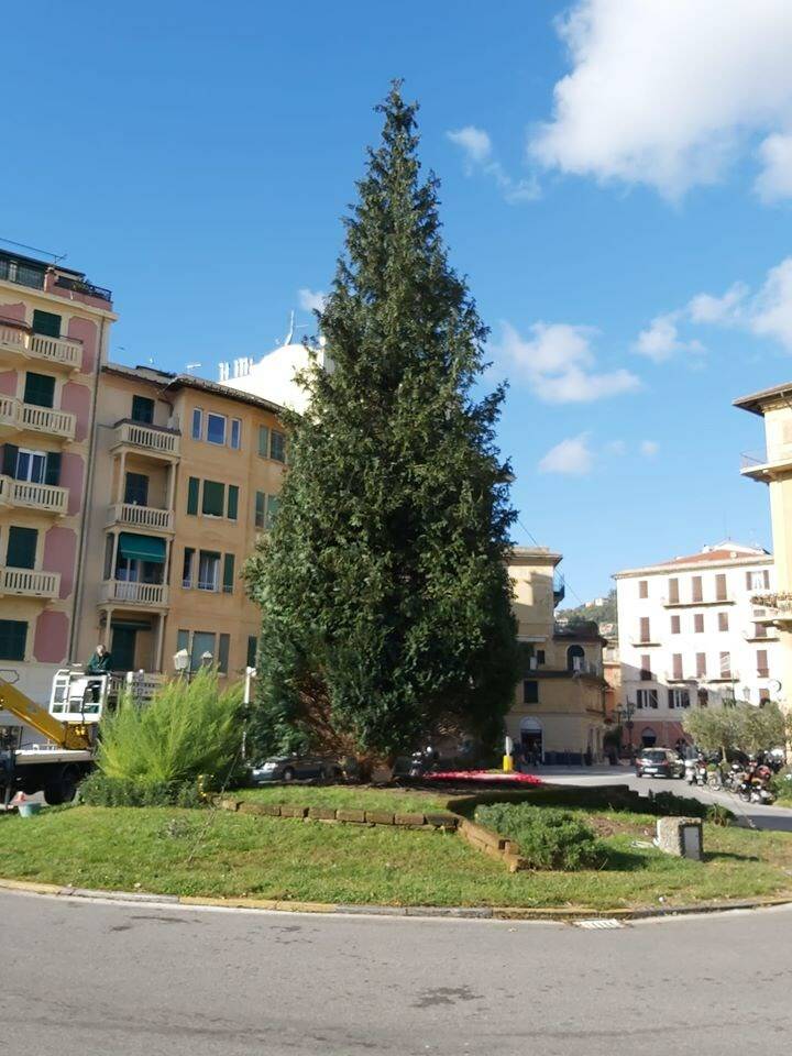 Albero di Natale a Santa Margherita