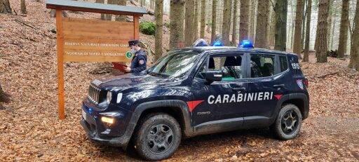 Carabinieri forestali nel Parco delle Agoraie a Rezzoaglio.