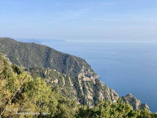 Parco di Portofino.