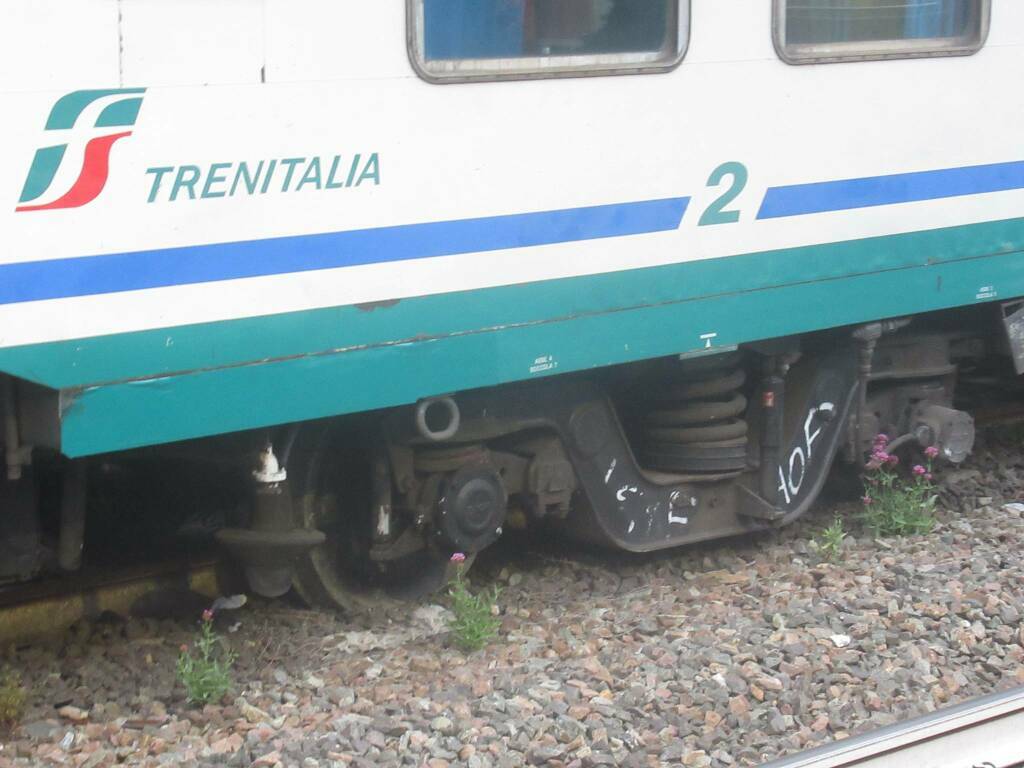 svio treno