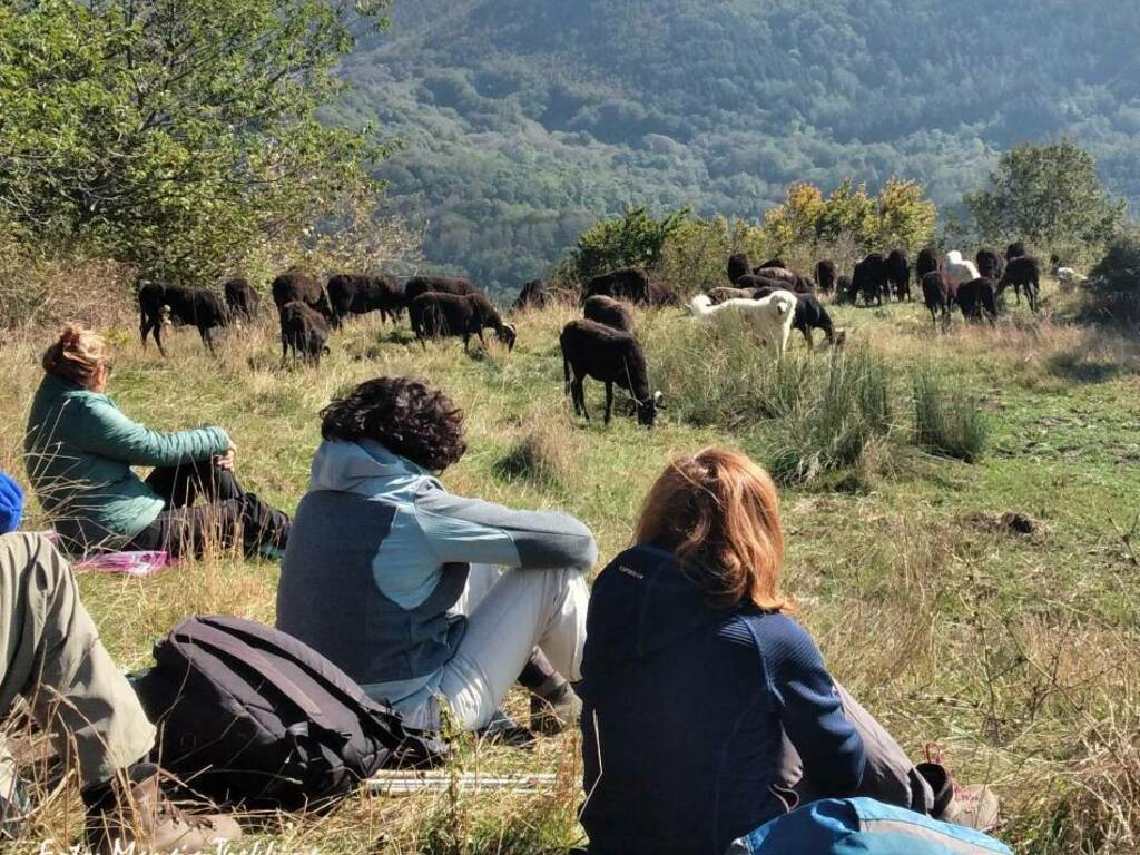 mangia trekking