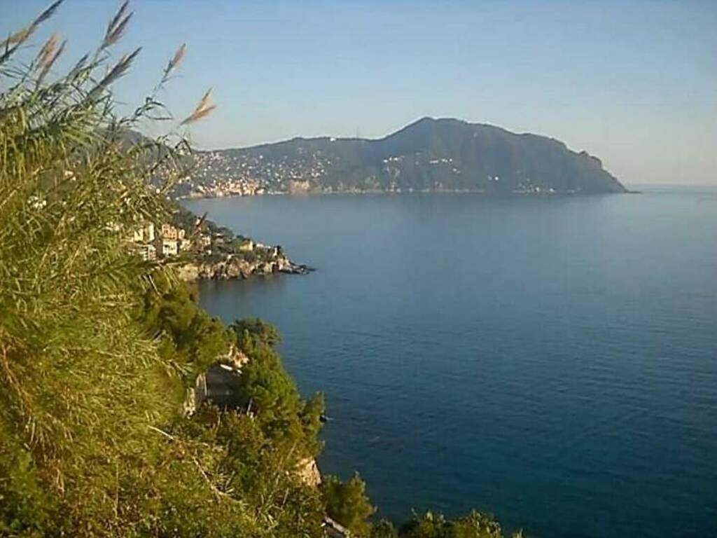 Parco Nazionale Portofino: “Facciamolo con chi vi aderisce, ma istituiamolo”