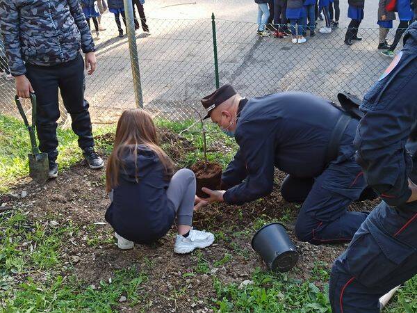 piante nella scuola di via lombardia