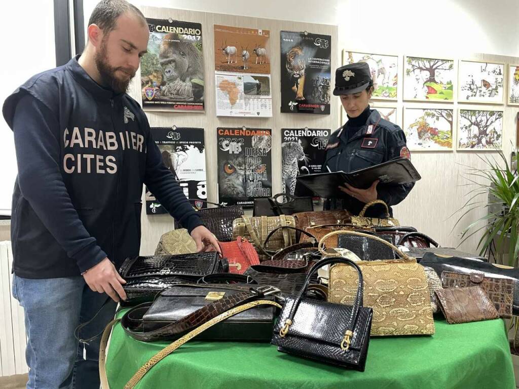 Carabinieri: sequestrati accessori di moda realizzati con pellami di  animali - LevanteNews